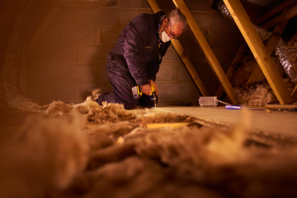Best Cellulose Insulation in Hagerman, ID